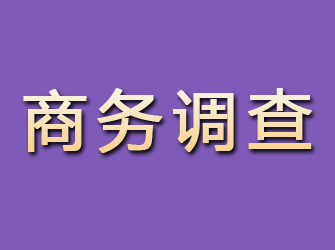 渠县商务调查